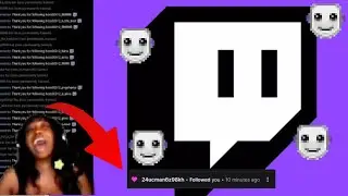 I Survived A Twitch Raid of 1.6k bots