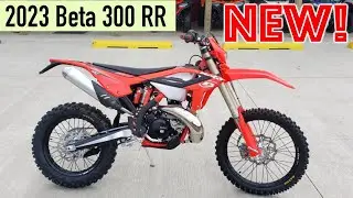 2023 Beta 300 RR 2-Stroke Showroom Preview! New Bike Walk Around