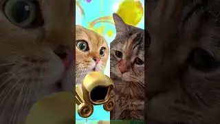 Sad cat asks Dad for Dominus :(