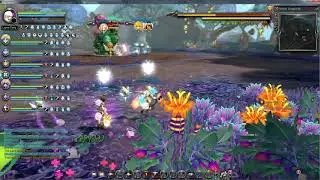 Dragon Nest SEA │Saleana│Forest Dragon CLEAR