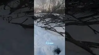 Приморский край