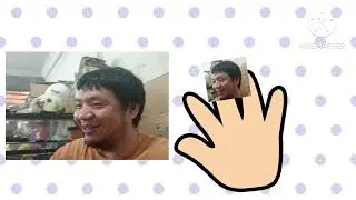 Human Finger Family Collection Top 10 More 
