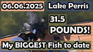 Lake Perris Fishing: My BIGGEST fish to date!