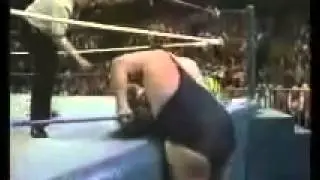 Ultimate Warrior vs  Andre The Giant