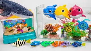 [Toy asmr] RC Whale & Crocodile & Baby Shark & Nimo Fish & Aquarium ASMR Satisfying with Unboxing