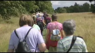 Joining a walking group