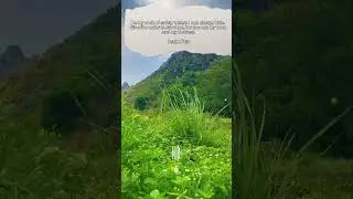 The Lord is our rock of safety | word of encouragement #bible #jesus #christ #bible