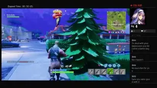 Fortsnite!!