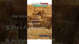 Ranking Craziest Unlucky Dogs Moments💀