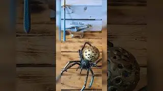 Metal Art - E.B. radovi #handmade #art #music #spider #sculpture #insects #decor#rock #shorts