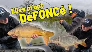 CARPES SAUVAGES en Canal ! Ma Session Method Feeder la Plus FOLLE !