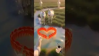 Magical Unicorns on Rainbow Water! 🌈🦄 Fun Factory