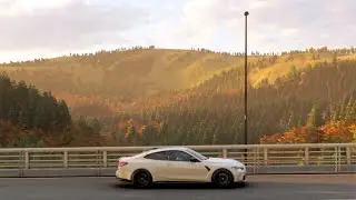 Forza horizon 6 shader quality bug (low draw distance) 