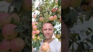 🌸😄 Садовнику очень нужна обниМашка #ландшафт , #своимируками, #садовод