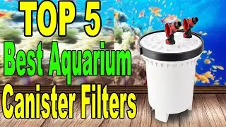 Top 5 Best Aquarium Canister Filters In 2020