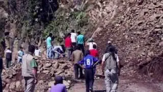 Dangers of Amazon Birding