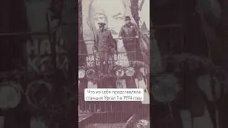 Северокорейцы рубили лес на Дальнем Востоке #дальнийвосток