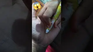 meri magical pen👈🏻🖍️🪄#kids #magic #pen #shortvideo