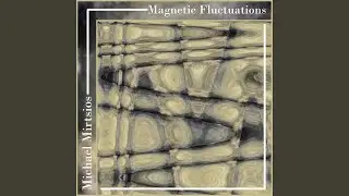 Magnetic Fluctuations