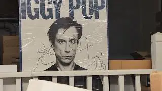 BIGGEST VINYL HORDE IVE EVER SEEN !!