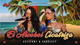 Estefany e Gabriely - El Alcohol Cicatriza  ( Bebida Na Ferida ) BREGA LATINO