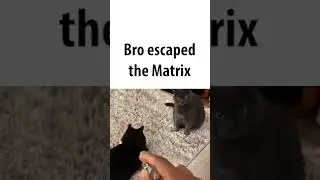 Bro escaped the matrix