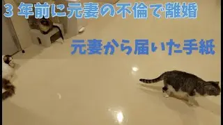 【感動する話】3年前に元妻の不倫で離婚「ずっと俺を騙してたのか」元妻から届いていた手紙に書かれていた真実とは