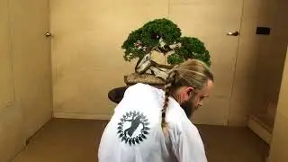 Marcin Gajewski, Bonsai Demo (Poland)