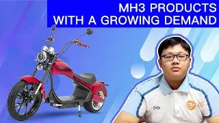 3pluscoco/citycoco/electric scooter/ EEC/COC  MH3 products with a growing demand