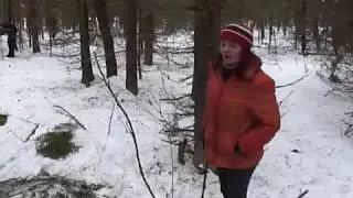 Места силы Костромской области - Сусанинский следовик
