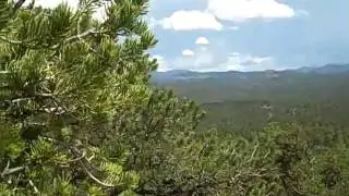 Avannah Properites is offering 2.5 Acre Colorado Mountain Land FOR SALE | Cotopaxi, Co (2430)