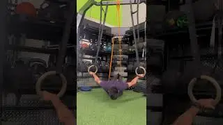 Maltese on rings progress 8 months.