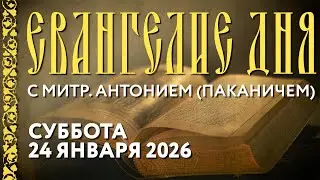 Толкование Евангелия с митр. Антонием (Паканичем). Суббота, 24 января 2026 года.