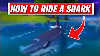 How to RIDE A SHARK in Fortnite Season 3! (Tutorial & Guide on How to drive a SHARK)