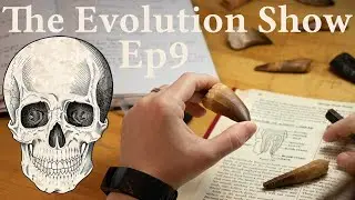 The Evolution Show Ep9