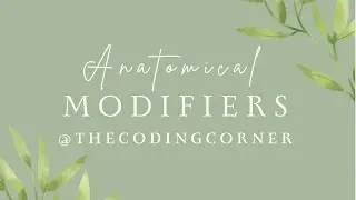 Anatomical Modifiers