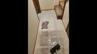 Demo - Home Depot Tile and Grout steamer