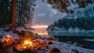 Tranquil Winter Moments 🔥❄️ Snowfall, Forest Ambience & a Peaceful Evening Sky by the Campfire