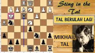 Bentengnya Bukan Ditukar Tapi Digratiskan | Partai Catur Jonathan Speelman VS Mikhail Tal