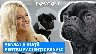 PAWCAST Sansa la viata pentru pacientii renali! Alina Stefanescu | ep 4