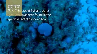 South China Sea: Deepest marine hole found near Xisha Islands