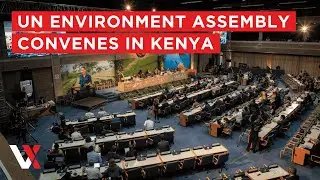 LIVE | Nairobi Hosts 7th Session Of UN Environment Assembly | UNEA-7 Live | VERTEX