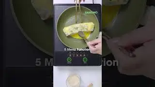SAMONO Induction Cooker WS-01✨