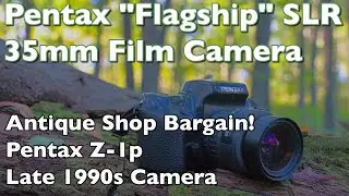 Pentax Z-1p 35mm Film Camera - Budget Purchase from an Antique Market. It works perfectly!