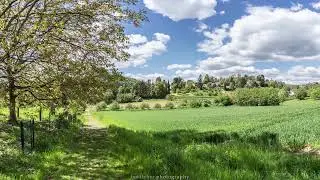 Dilsberg Panorama - May 2019