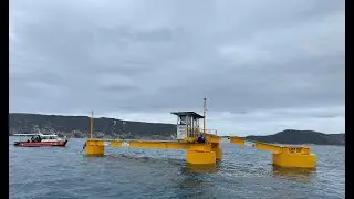 UWA M4 Wave Energy Converter