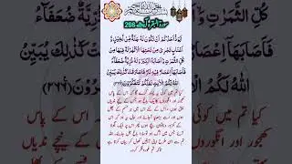 Surah e Baqarah Ayat No  266/ 266/سورۃ البقرہ آیات