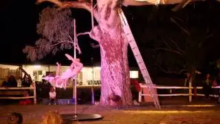 Ginger and the Ghost with Pole-dancing Unicorn
