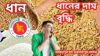 আজকের ধানের দাম বৃদ্ধি ওয়াও! 😱 নাজিরপুর বাজার গুরুদাসপুর নাটোর | ১৯-০১-২৬ ধানের দাম ও খবর