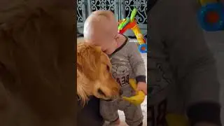 Cute Babies and Nanny Dogs! #adorable #cuteanimals #cute #cutepets #adorableanimals #animalfriends